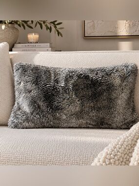 Restoration Hardware Luxurious Velvety Soft Faux Chinchilla Pillow Cover (3)